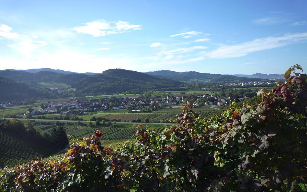 Hotel & Gasthaus Loewen Waldkirch Luaran gambar